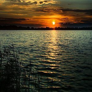 Meet your Posher, Leann